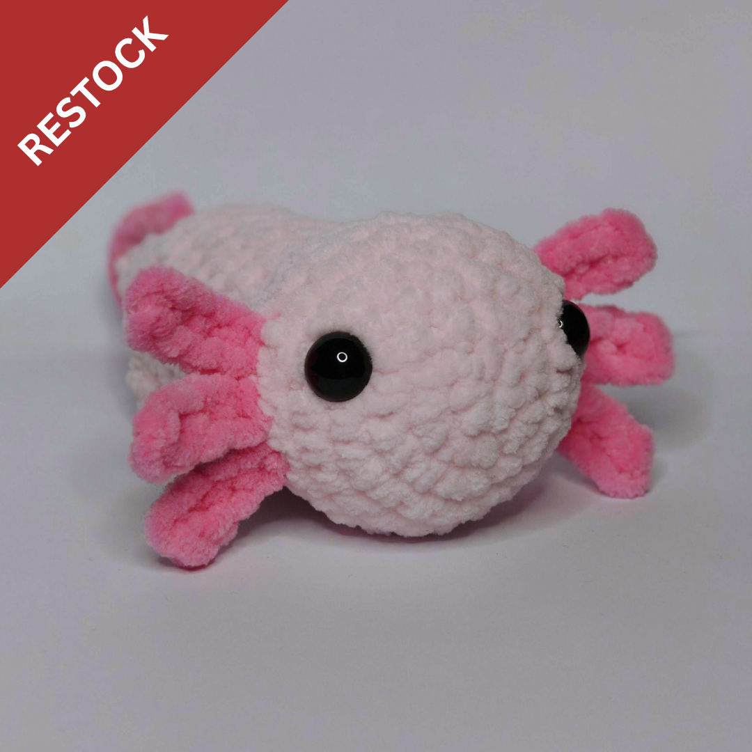 Axolotl