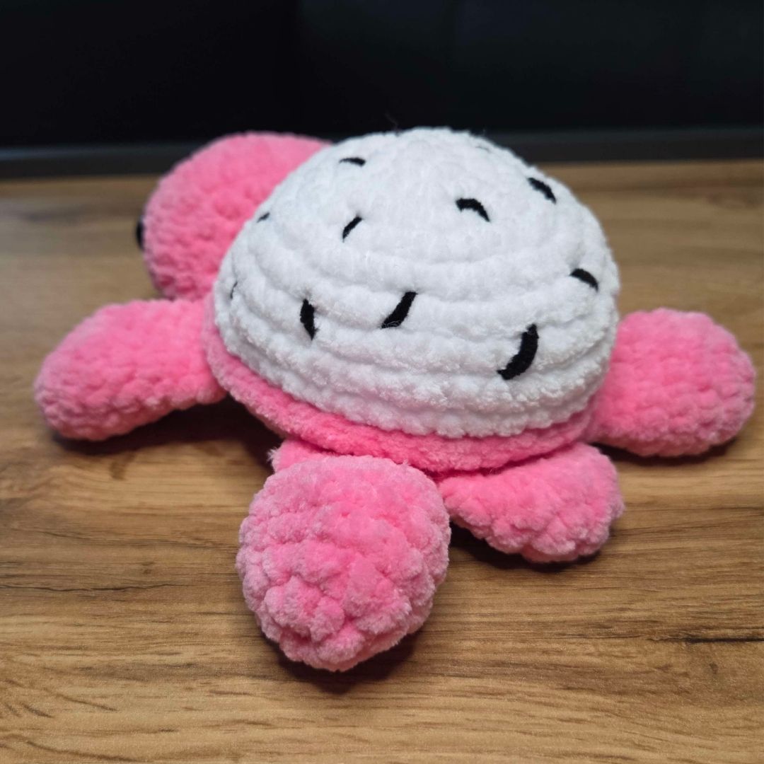 Drachenfrucht Schildkröte