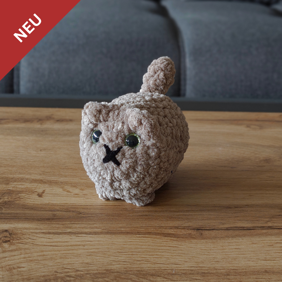 Kleine Katze