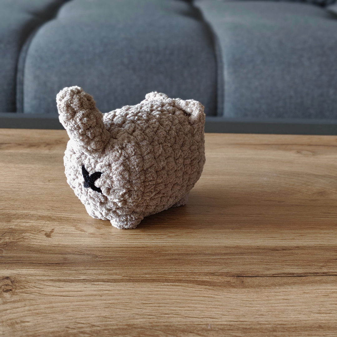 Kleine Katze