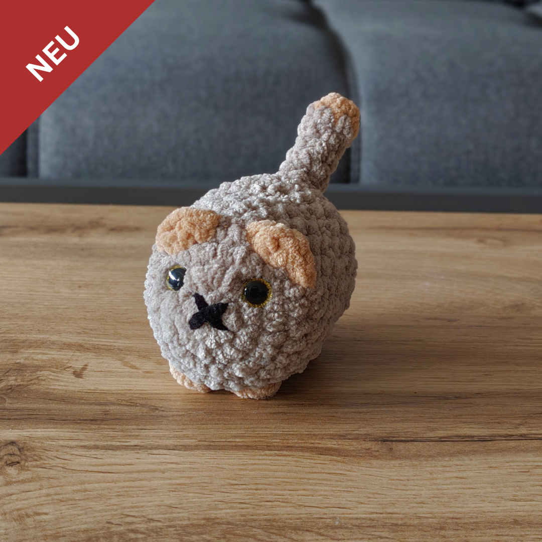 Kleine Katze