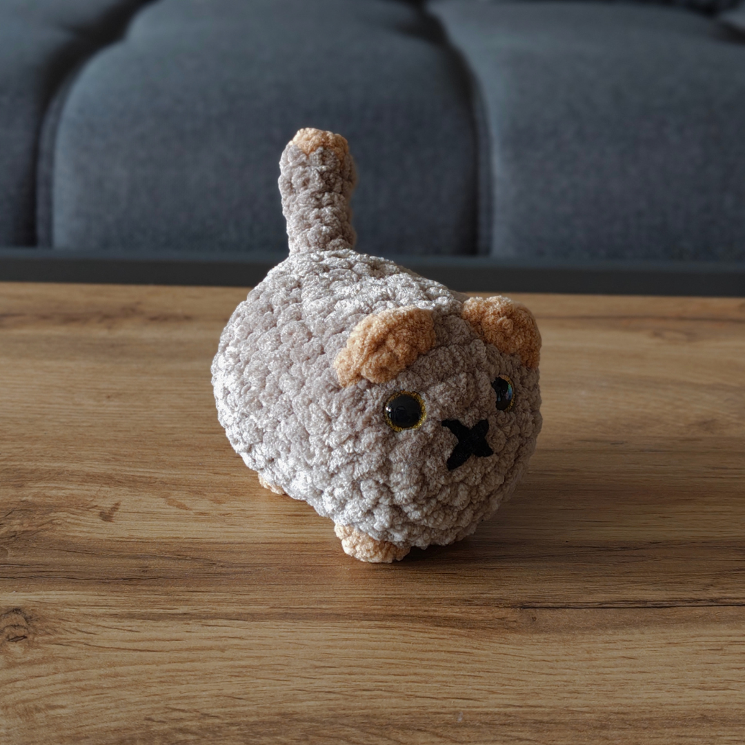 Kleine Katze