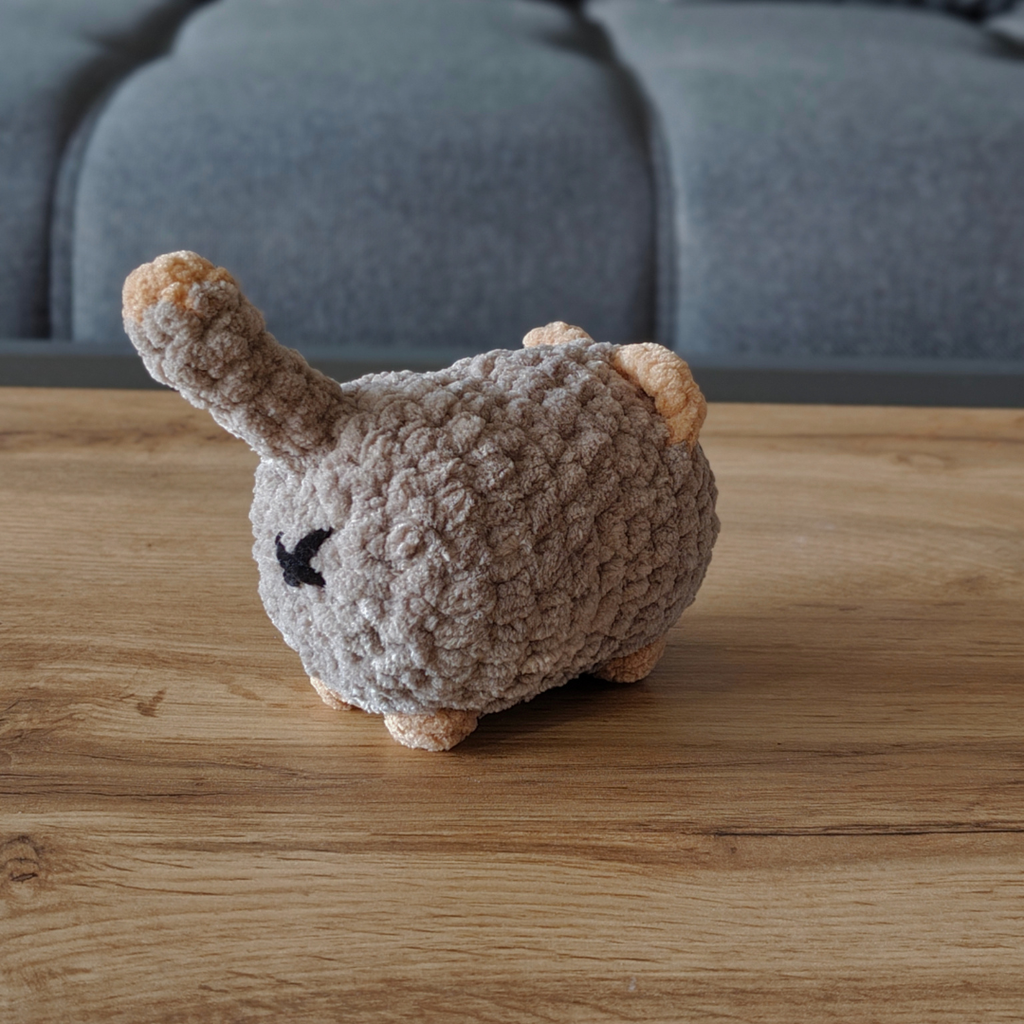 Kleine Katze